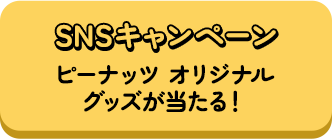 SNSキャンペーン
